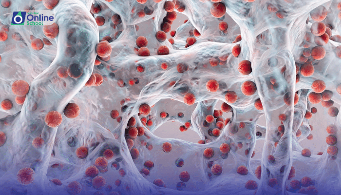 Lesson 09: Bacteria as Recyclers and their Importance